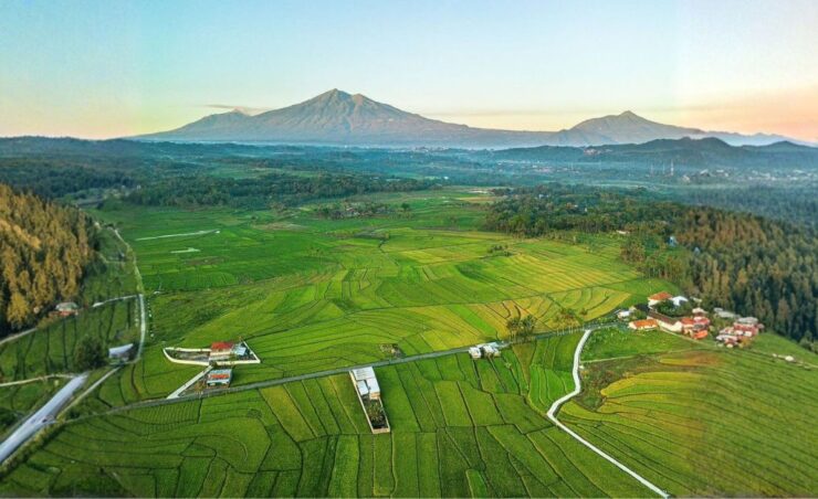 background bumdes giling